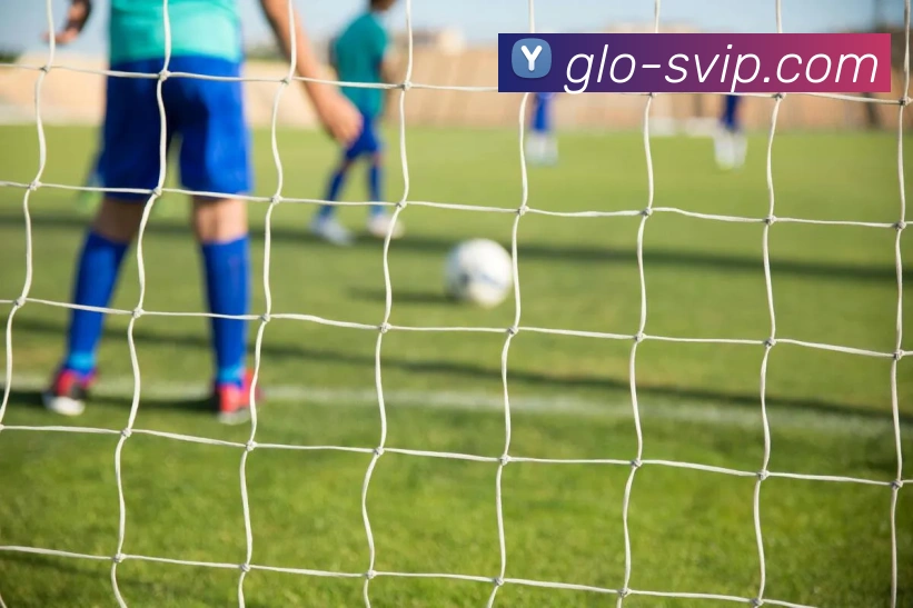 贵宾会官网品牌故事