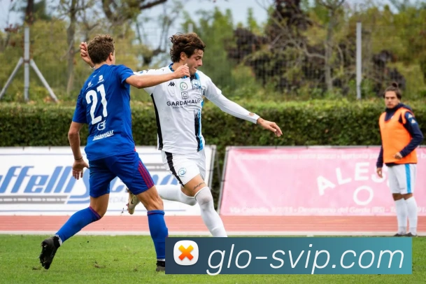 贵宾会官网服务体系